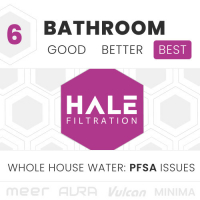 6 BATH: PFSA Issues (Best)